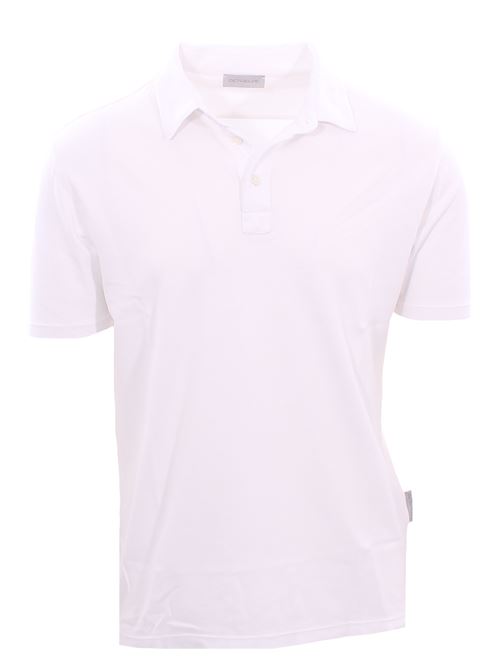 short sleeve polo DETWELVE | ITM-BEAGLE SUPIMABIANCO